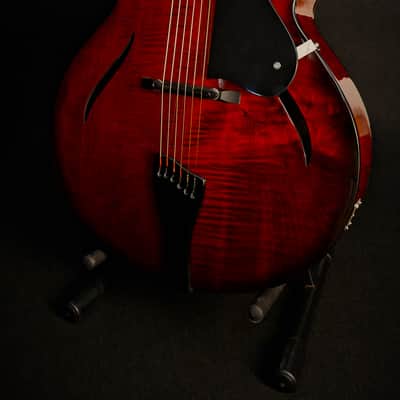 Fibertone 17RC 2026 - wine red image 3