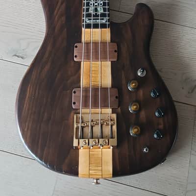 Ibanez Musician Bass 30th. anniversary 2009 image 10
