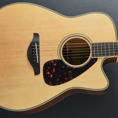 Yamaha FGX 280C, Recent image 1