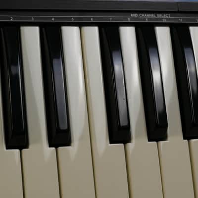 Novation Bass Station image 19
