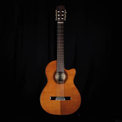 Used Alvarez Artist Series AC60S Nylon Acoustic Guitar image 2