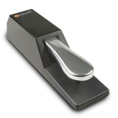 M-Audio Sustain Pedal with Polarity Switch SP-2 image 1