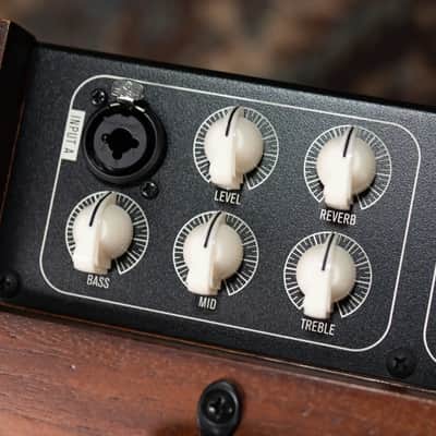 Taylor Circa 74, 2-Channel Acoustic/Vocal Amplifier with Mahogany Amp Stand - Factory Used image 12