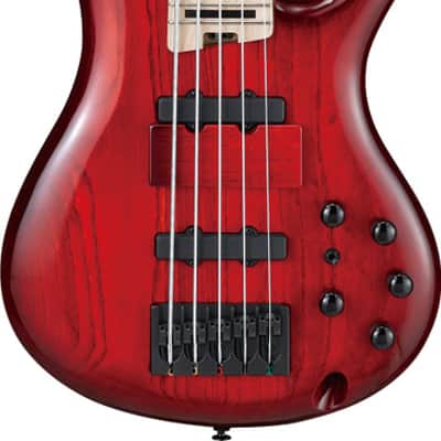 Ibanez Adam Nitti Signature 5str Electric Bass w/Bag - Transparent Wine Red Burst (ANB205TWB) image 3