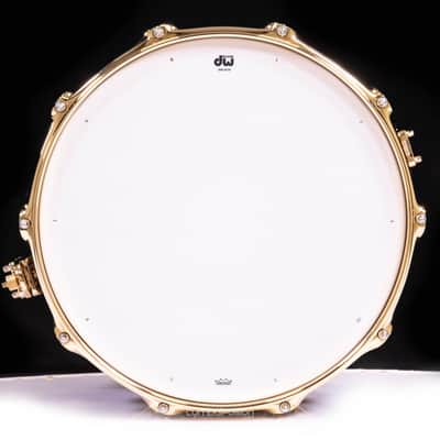 DW Collector's Maple SSC Maple 8x14 Snare Drum - Honey to Ebony SS Burst image 6