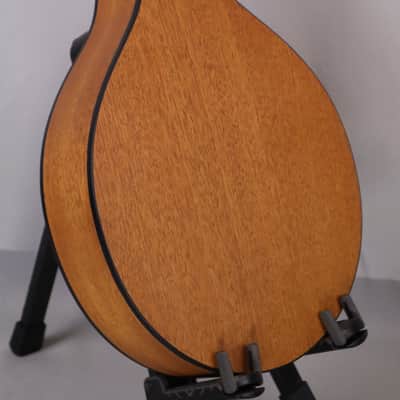 Eastman PCH-M104 Mandolin: Solid Sitka Spruce Top, Laminate Mahogany back and sides 2026 image 12