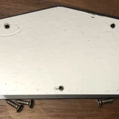 Share 2021 Epiphone Les Paul Special II Control Cavity Cover With Screws image 2
