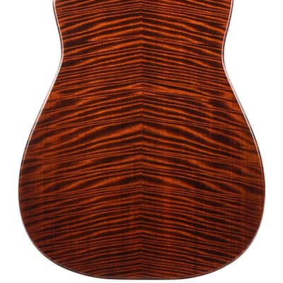 Beard Trailhead E RN Curly Maple 2024 image 4