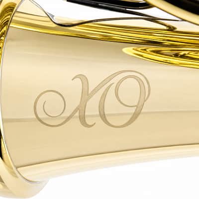 Jupiter XO 1650D Professional Geyer Wrap Double French Horn SN AC02491 image 2