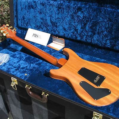 Paul Reed Smith PRS Artist V; Custom 22 Private Stock Package 2011 Blue Crab Blue image 6