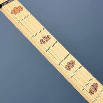 Custom Deering Goodtime 19-Fret Tenor Banjo Fiberskin 2026 image 10
