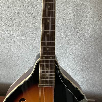 Fender FM-100 Mandolin Pack 2010s - Sunburst image 10