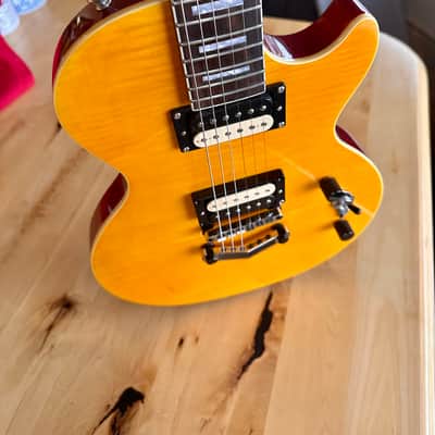 Slash AFD Les Paul Special II - Everything New & Upgraded image 8