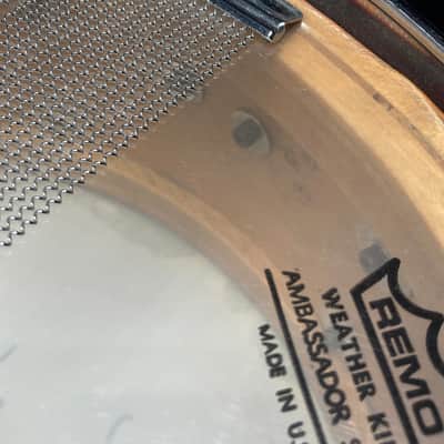 Steve Smith's Journey, David Frangioni Collection, Slingerland "Jamo Special"- 5.5x14" Radio King. SIGNED! #073. (DF2 Sling #1) image 23