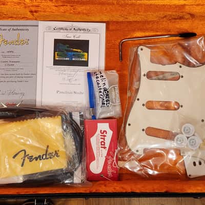 Fender Hand-Painted by Pamelina 2005 Custom Shop Masterbuilt Stratocaster Psychedelic w/ OHSC, CoA & Original Parts image 3