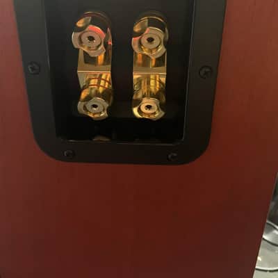 Best Mastering Monitors Lipinski L-707 with Cases image 7
