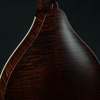 Collings MT Mandola Cream Gloss Top Adirondack Spruce and Flamed Maple NEW image 19