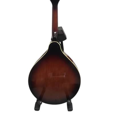 Fender FM-52E Acoustic Electric Mandolin with Case image 4