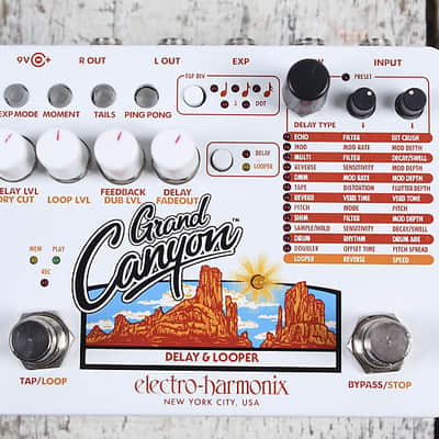 Electro Harmonix Grand Canyon Delay & Looper Pedal Electric Guitar Effects Pedal image 1