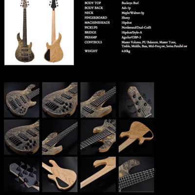 STR Bass #361 DLS549 (Authorized Dealer) Handmade in Japan Buckeye Nordstrand image 2