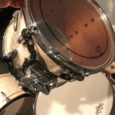Pearl Pearl Session Studio Select 4-piece Shell Pack - 24 Bass Drum - Nicotine White Marine Pearl 20 image 13