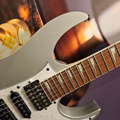 Ibanez RG450DX-CSV Classic Silver E-Guitar, Limited Edition image 2