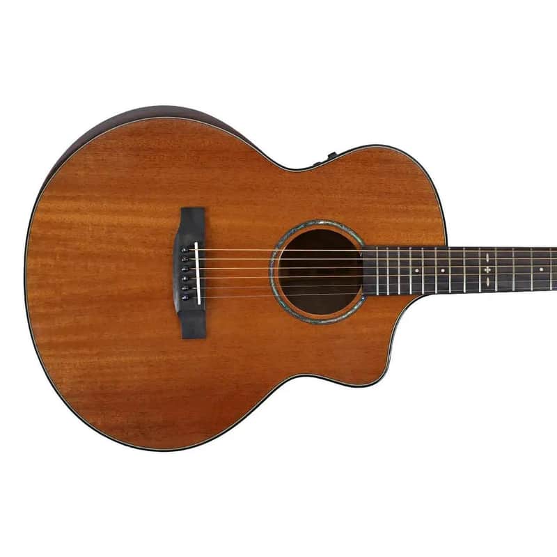 Willow Creek FX-PG44 Mahogany Deluxe Acoustic Grand Auditorium Guitar w/ Effects & Bluetooth image 1