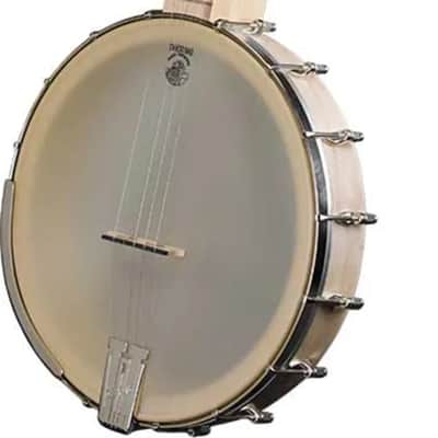 Deering Goodtime Americana 5-String Open-Back Banjo image 2