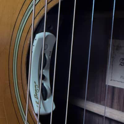 1970s-1980s LoPrinzi LR15-S Acoustic Guitar with L.R. Baggs Pickup System image 23