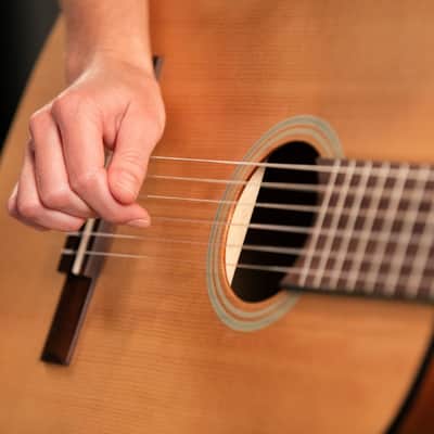 Ortega Student Series Full Size Nylon Classical Guitar image 10