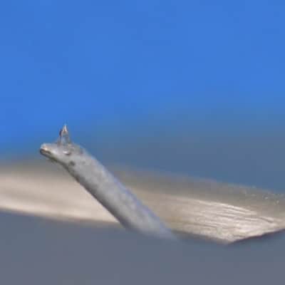 Fidelity-research FR-7 MC Cartridge In Excellent Condition#3315 image 9
