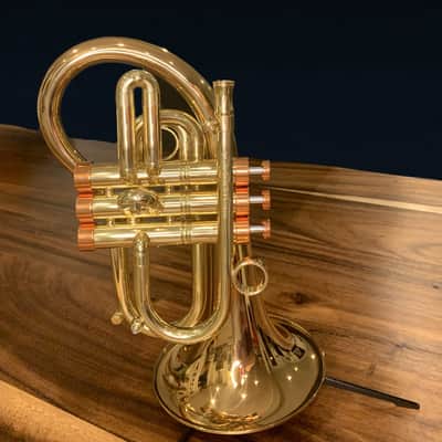 CarolBrass Phat Puppy Pocket Flugelhorn - Brand New image 4
