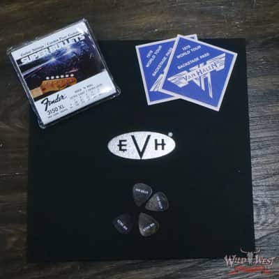 EVH Limited Edition '78 Eruption Relic Black & White Striped image 14