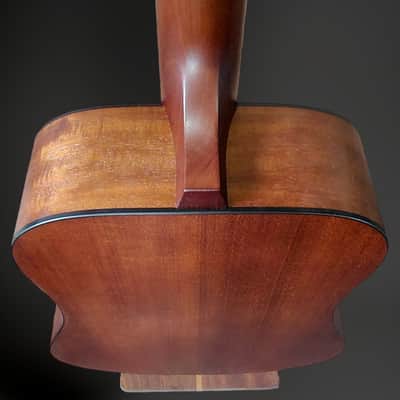 Iris Guitars D-WH Natural image 6