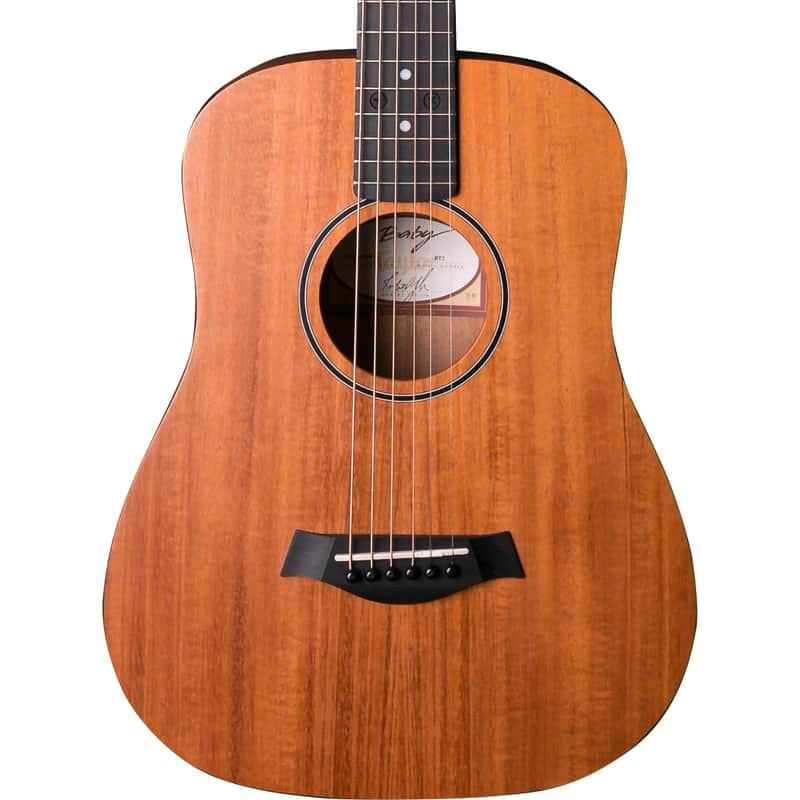Taylor BT2