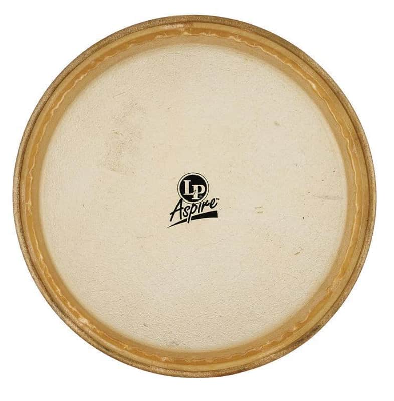Latin Percussion LP Aspire Conga Head | 11"