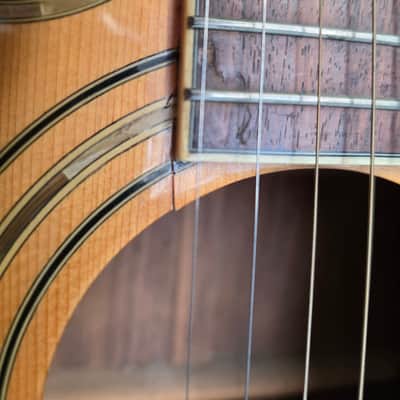 Tanglewood left handed acoustic Tw58 L11 1999 - Blonde image 3