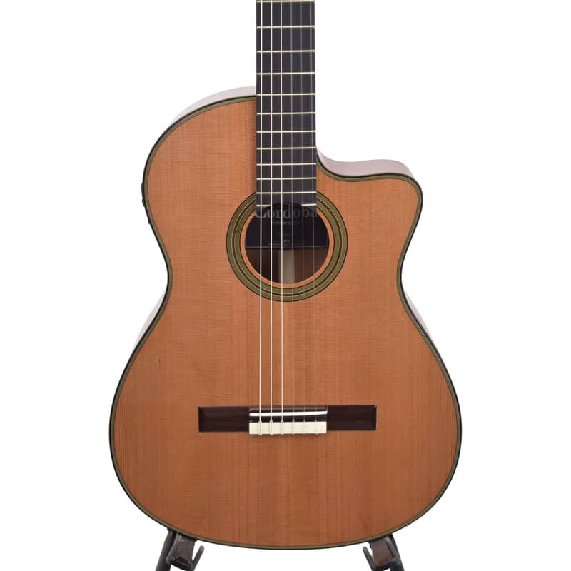 Cordoba Fusion 12 Acoustic Guitar - Natural image 1