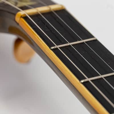 1926 Weymann Style 150-A Tenor Banjo with Resonator & Original Case image 13