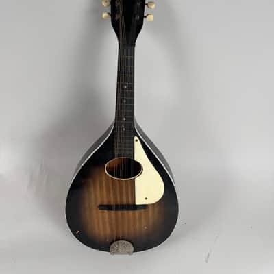 Stella A model 331 Mandolin 1960’s image 11