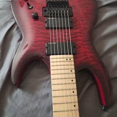 Agile Septor 7 string Floyd, Seymour Duncan Blackouts Transparent red in a thick soft case bottle protection box image 16
