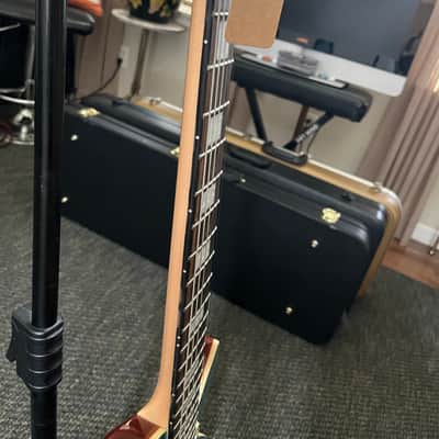 Aria PE 480 Pro ll 2000s - Maple top mahogany back maple neck image 22