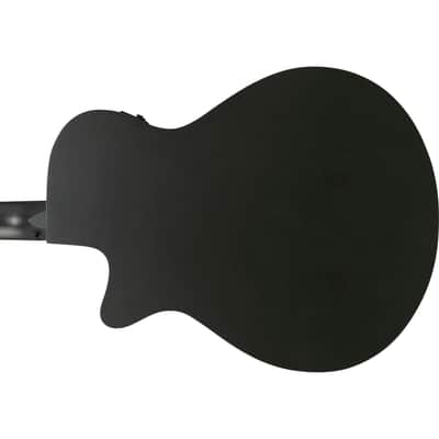 Ibanez AEG1221 12-string Acoustic-Electric Guitar - Black Out image 8