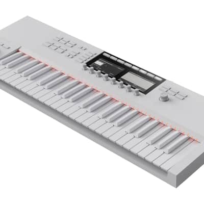 (LIMITED) Komplete Kontrol S49 MK2 Vapor Gray 25th Anniversary Edition image 2