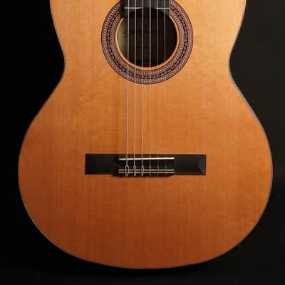 Kremona Solea Cedar / Cocobolo 2026 - Natural image 5