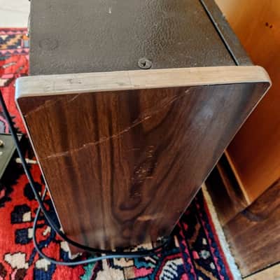 EX RICHARD FORTUS (GUNS 'N' ROSES, THE DEAD DAISIES, THIN LIZZY...) 50s modded Estey T32 (Magnatone) owned amp image 6