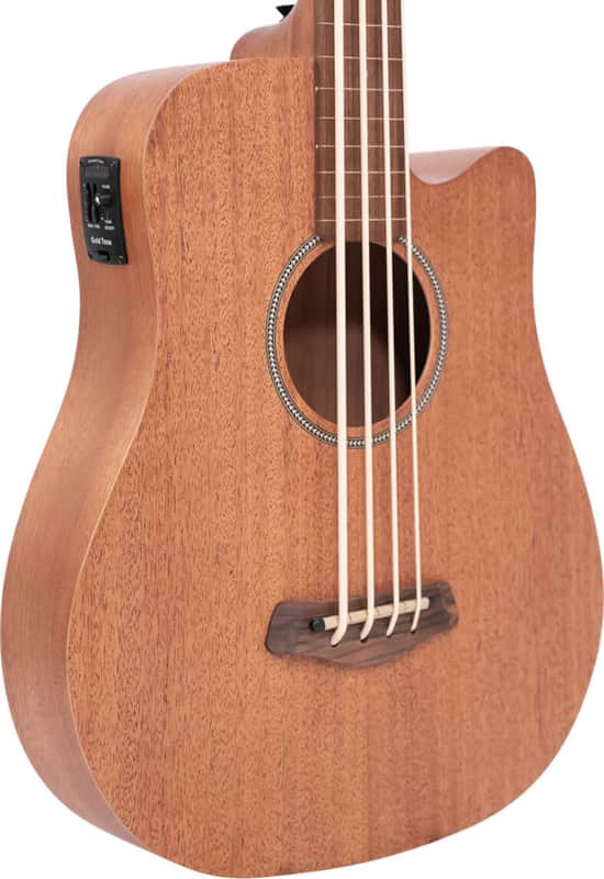 Gold Tone M-Bass25FL Fretless Short-Scale 4-String Acoustic-Electric Bass Guitar, Mahogany Top image 1