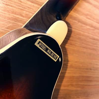 Mandolin 8 String Stunning Vintage Sunburst by Samick Greg Bennett WITH Pickup! image 15