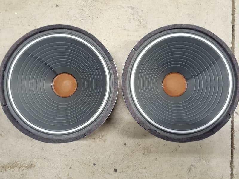ALNICO 12" SPEAKER CINAUDAGRAPH/CONSOLIDATED SPEAKER  QUITE RARE REBUILT WITH 1940S TYPE COMPON image 1