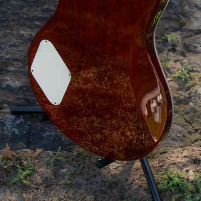 EVH SA-126 Special QM - Tobacco Sunburst EVH SA-126 Special Semi-Hollow Electric guitar - UNPLAYED in Case image 11